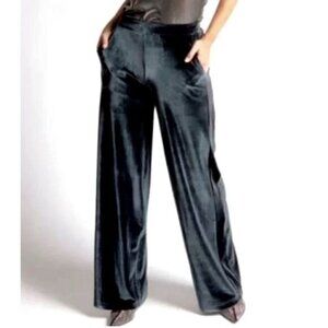 Betabrand Wide Leg Velvet Pull On Pants Deep Green Sz XL Petite